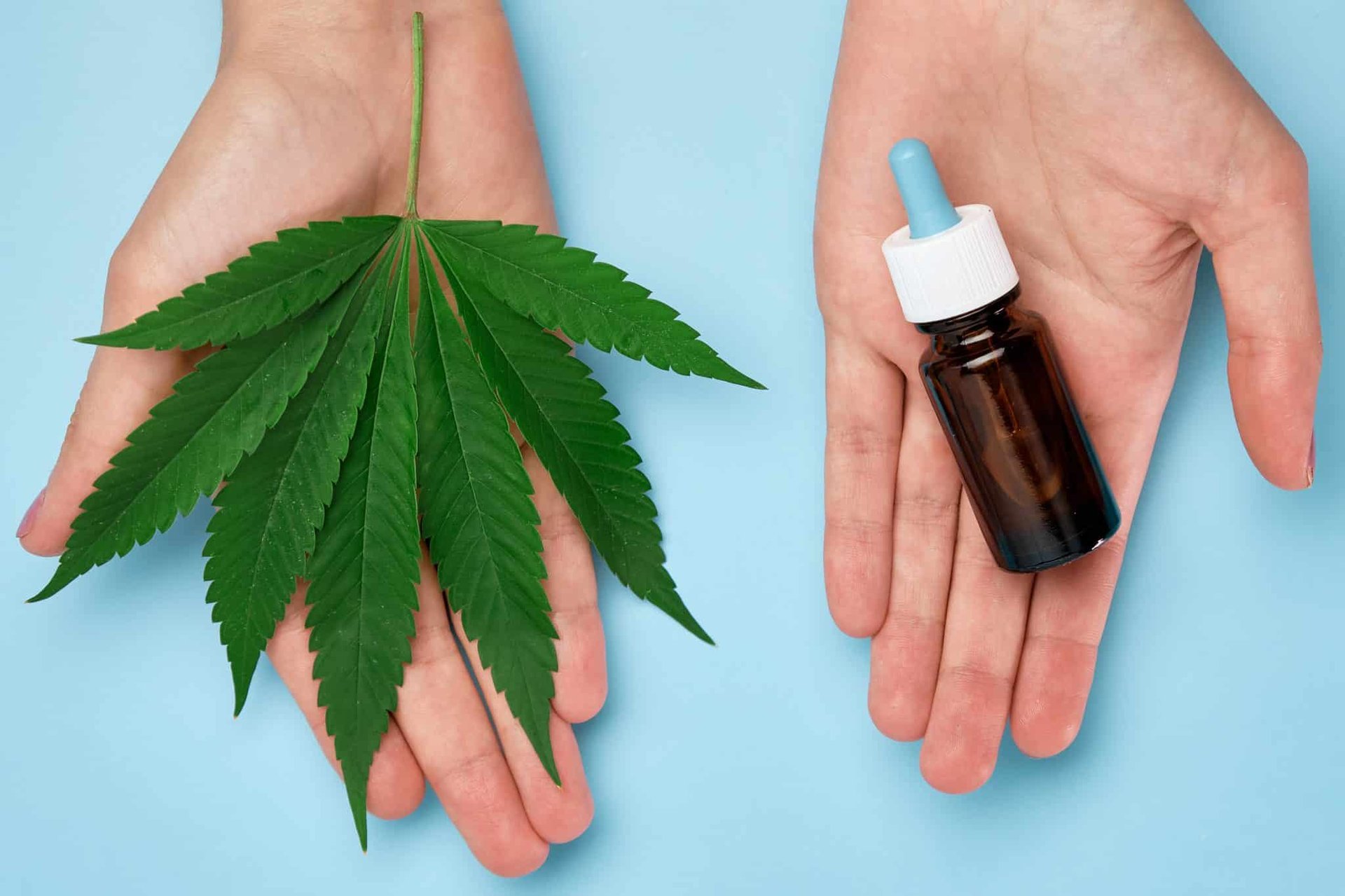 Remediant Découvrez les bienfaits du chanvre sur la peau - Top Hopital
