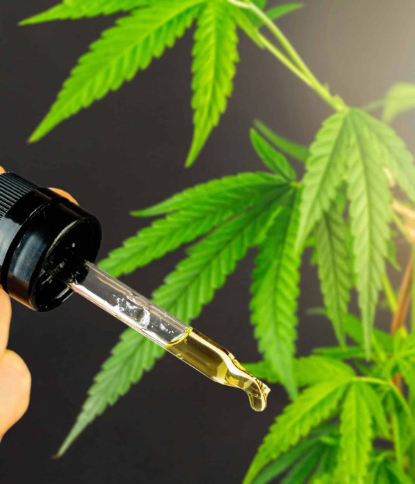 Meilleur site de chanvre : une plateforme sécurisée et facile à manipuler